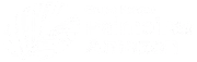 Logo White